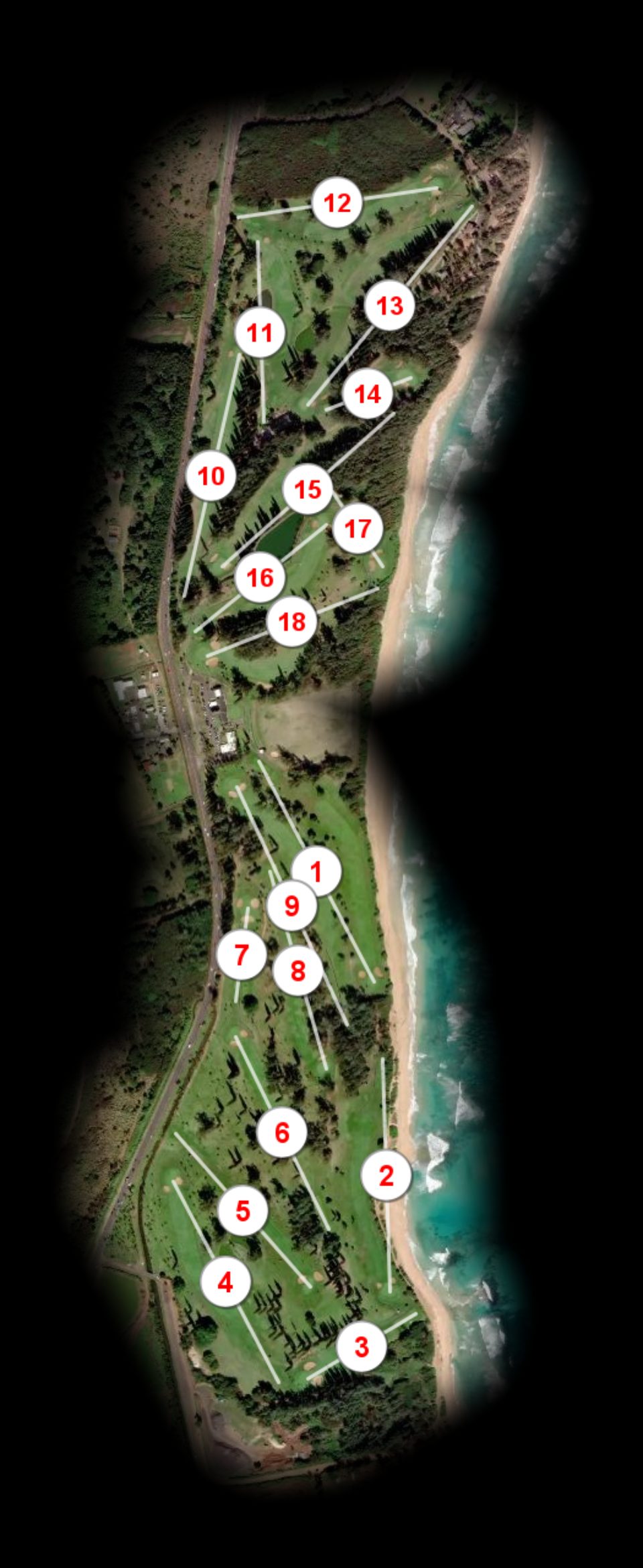 Wailua Municipal Golf Club course overview