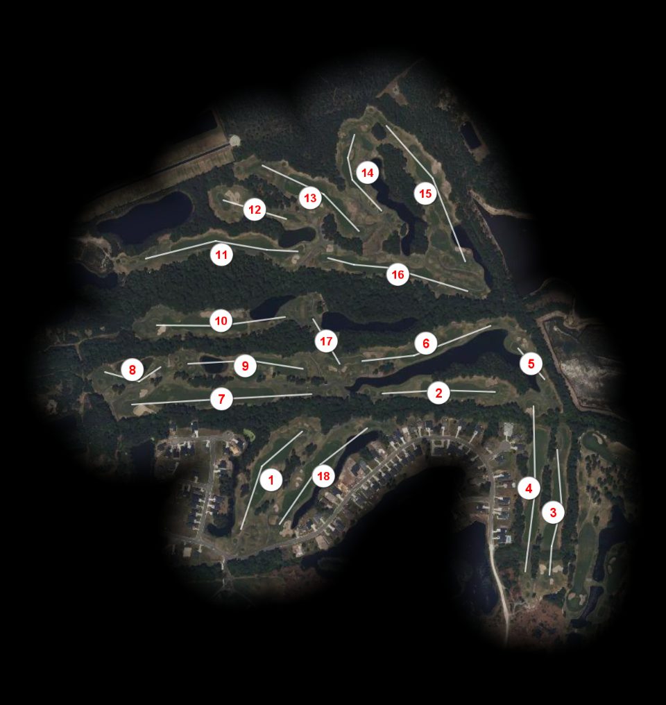 Wild Wing Plantation Avocet course overview