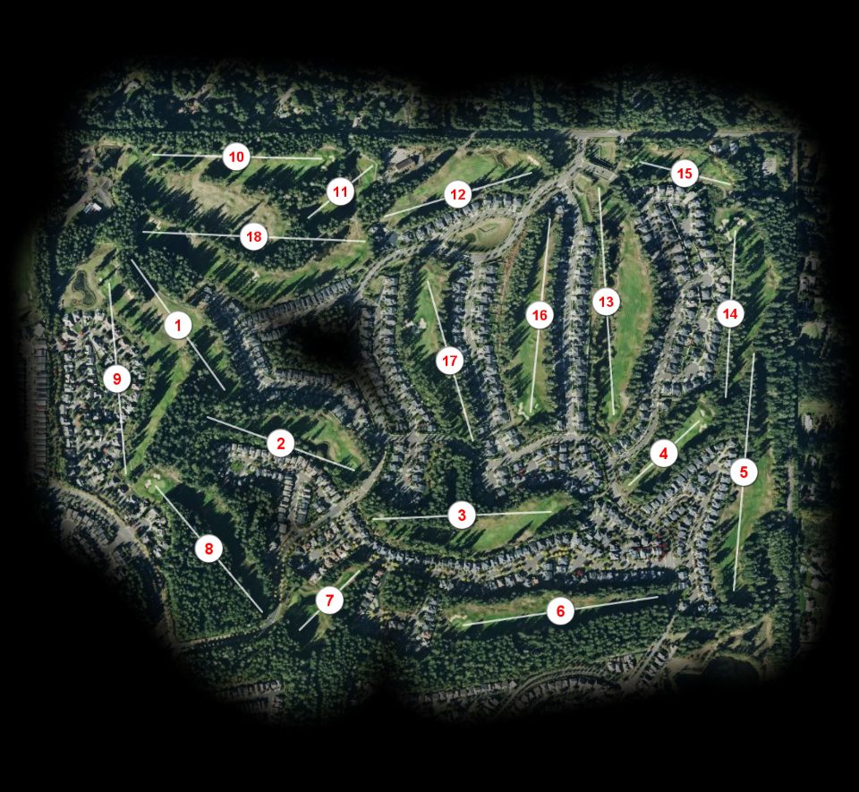 The Golf Club at Hawks Prairie Woodlands course overview