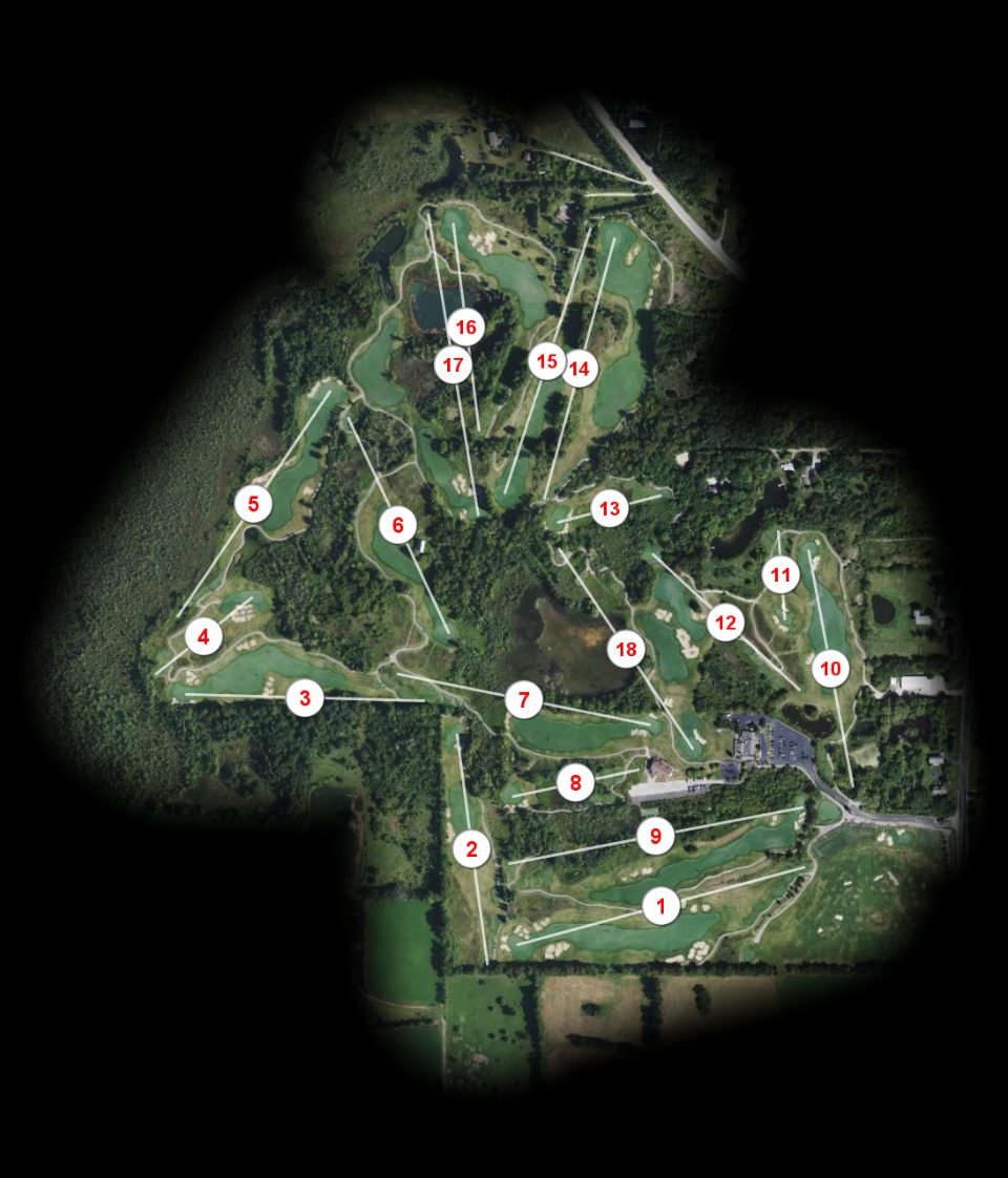 The Bog course overview