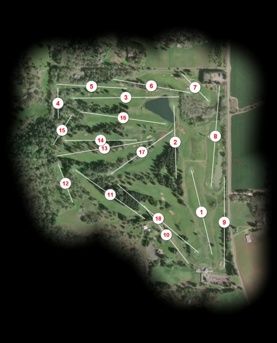 Diamond Woods Golf Course course overview
