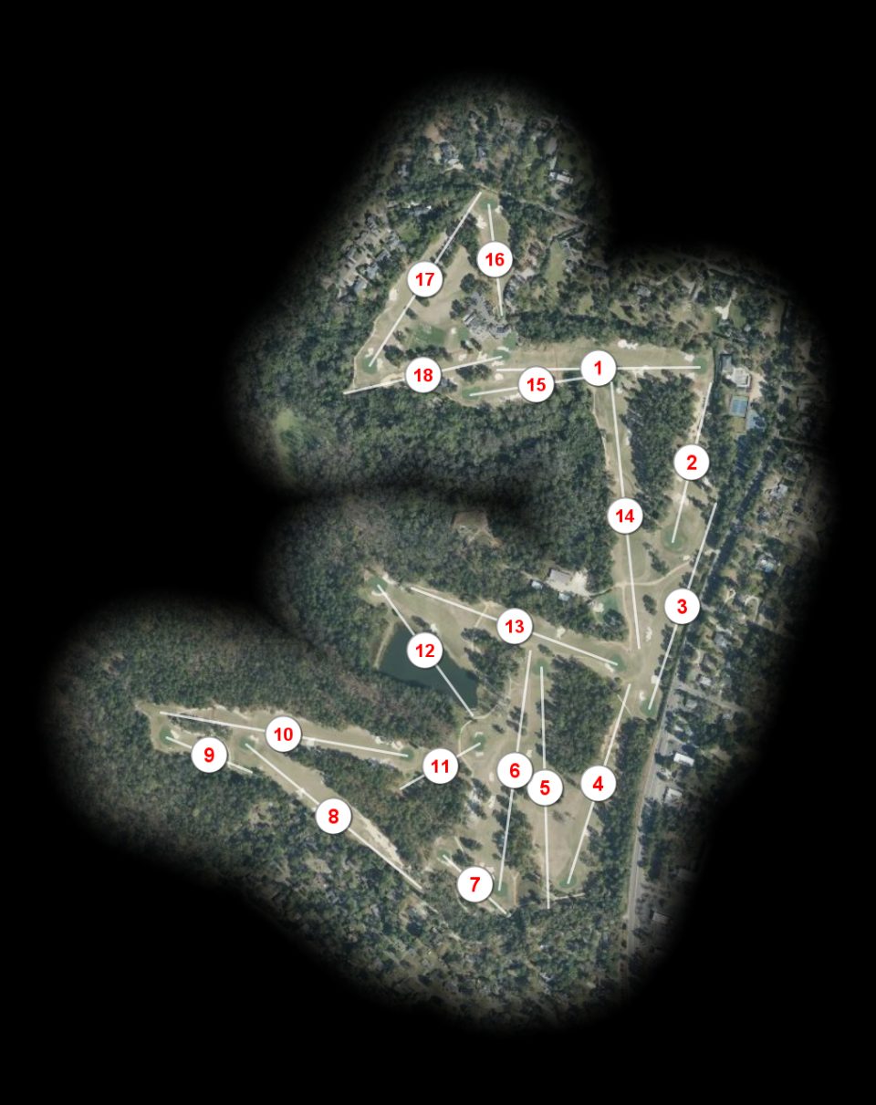 Palmetto Golf Club course overview