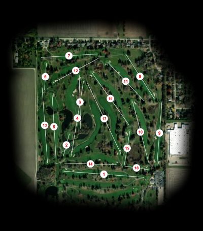 University of Illinois Golf Club Orange