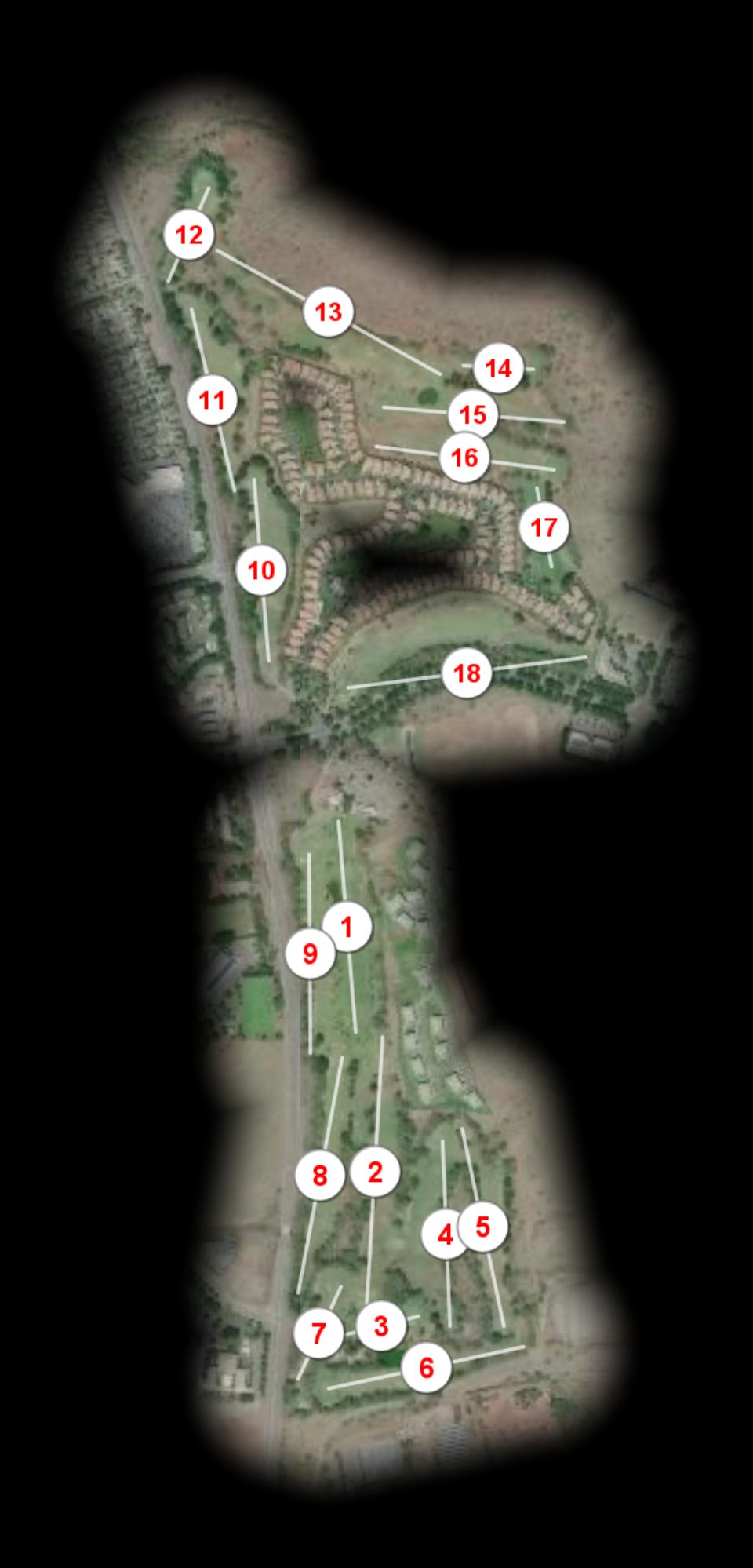 Maui Nui Golf Club Elleair course overview