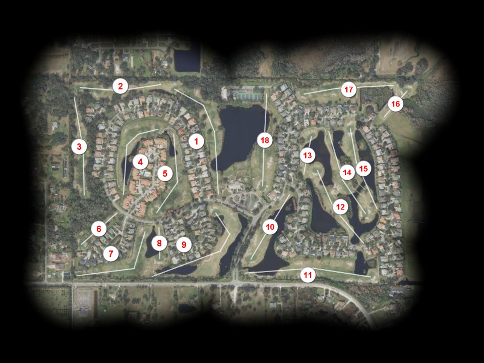 Kissimmee Bay Country Club course overview